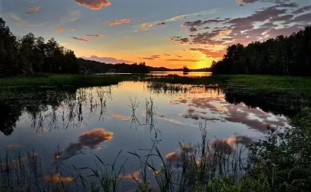 必威西汉姆联官网