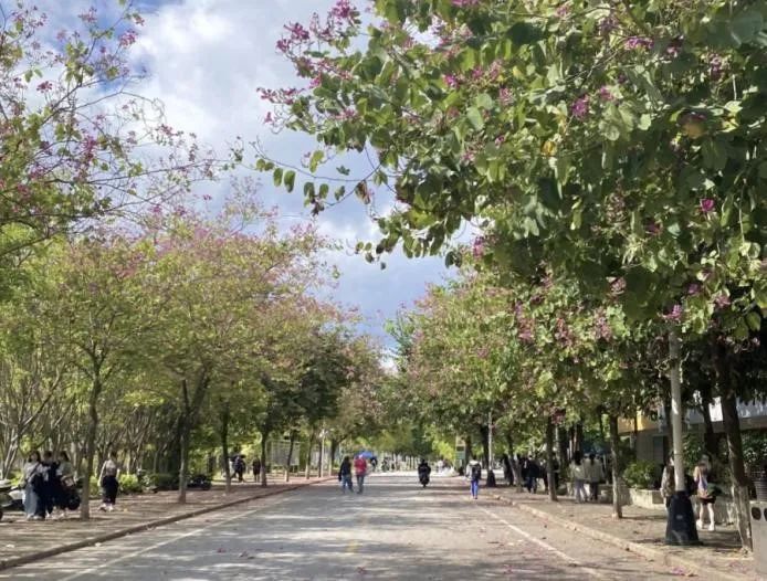 必威西汉姆联官网