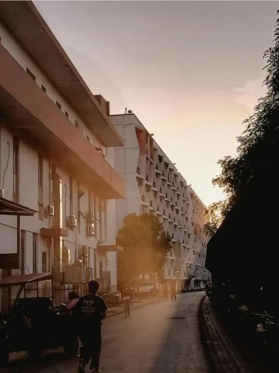 必威西汉姆联官网