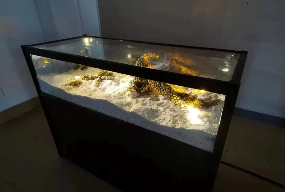 必威西汉姆联官网