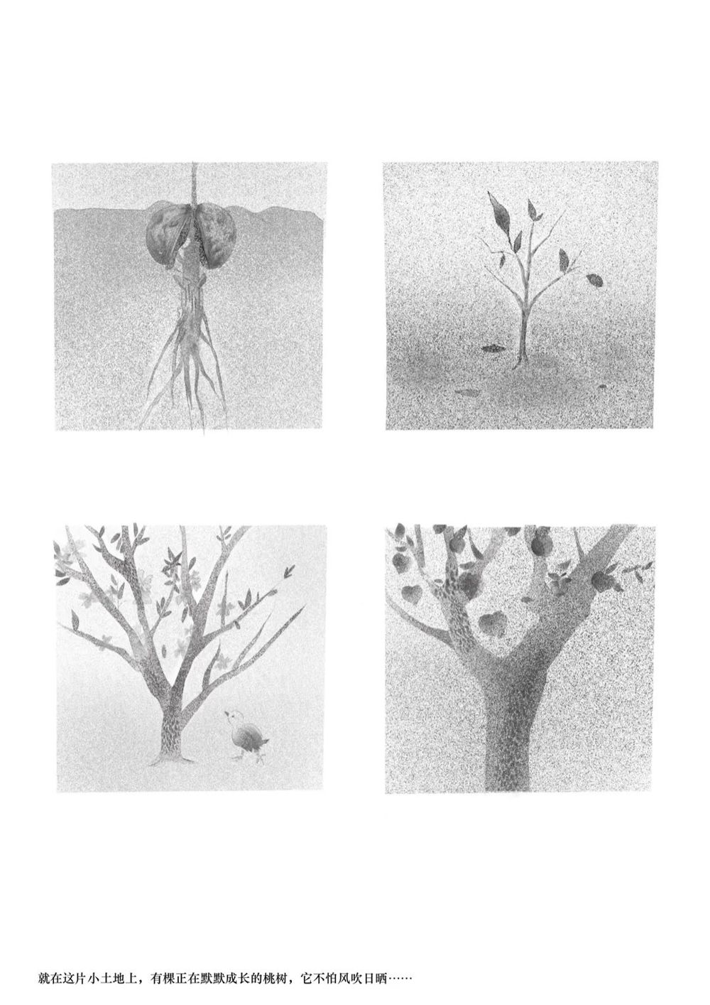 必威西汉姆联官网