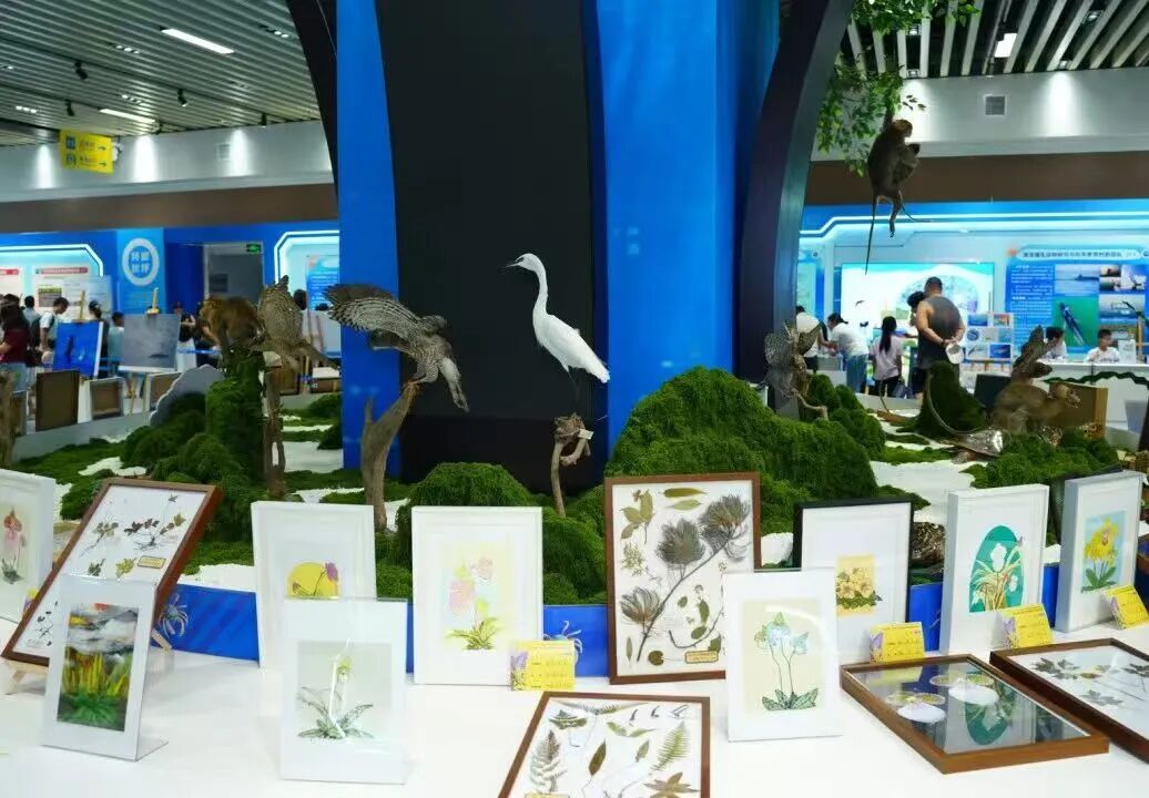 必威西汉姆联官网