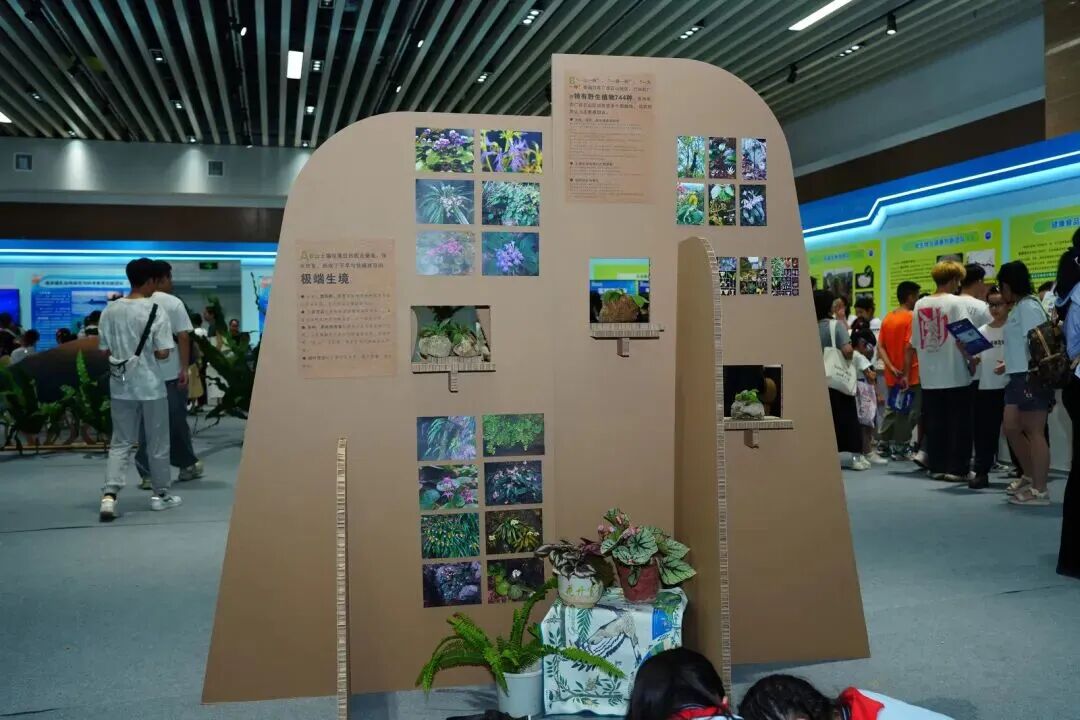 必威西汉姆联官网